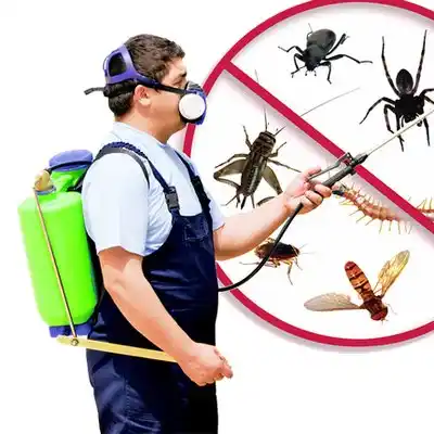 pest control Chadron